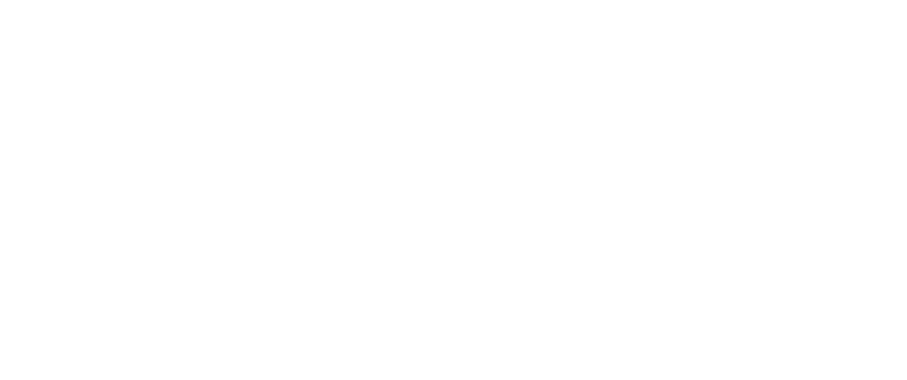 Cerveza Norte Logo
