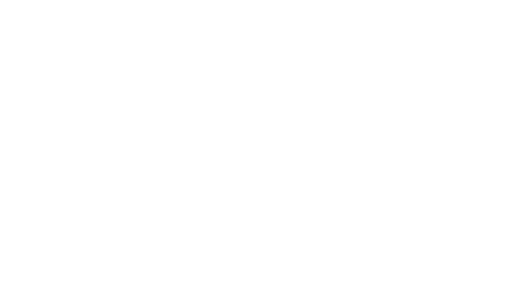 Citromax Logo