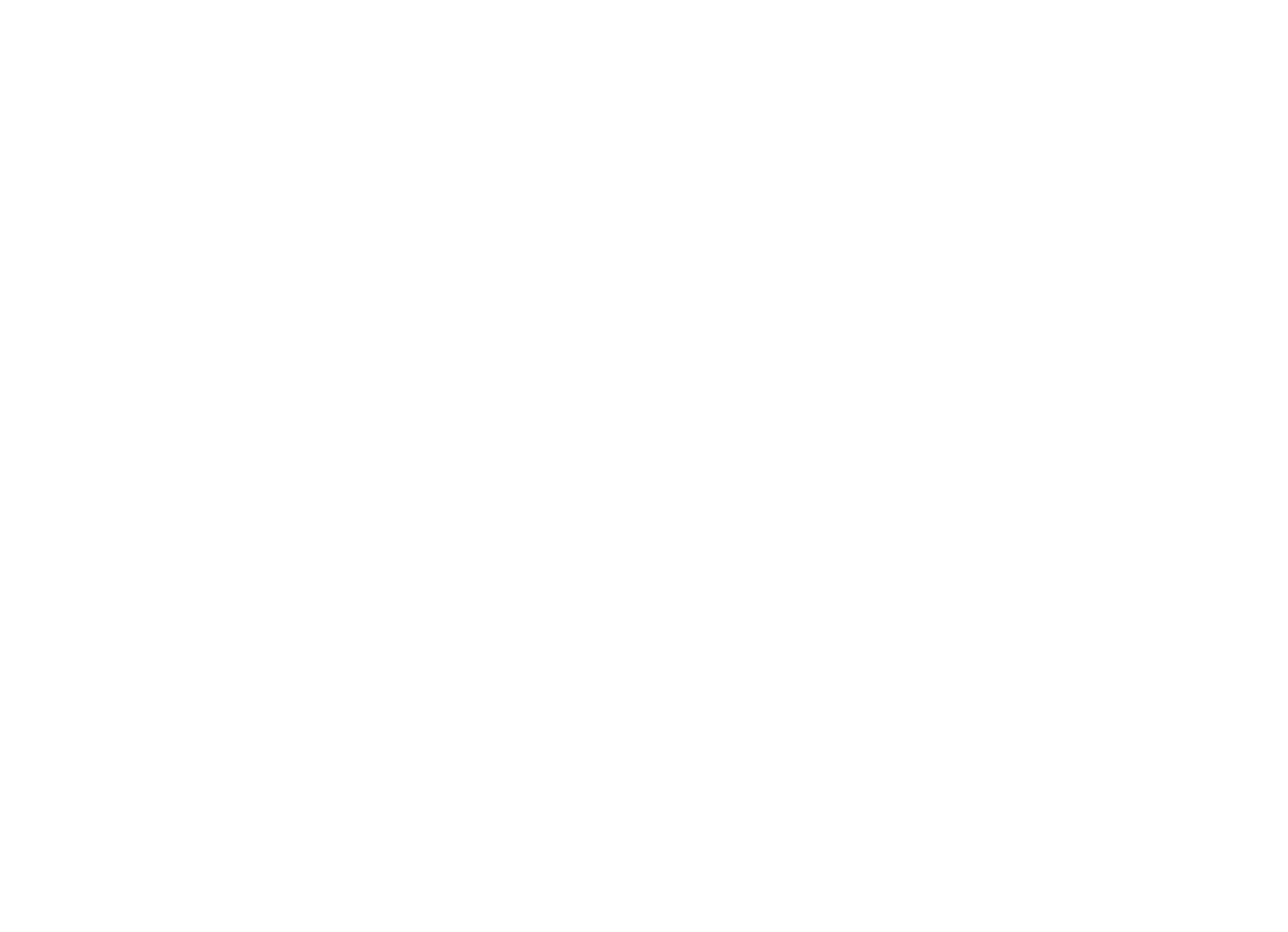 Fidensa logo